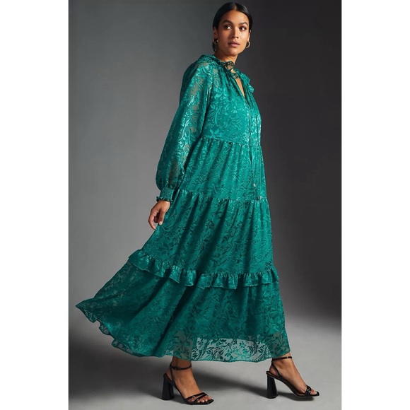 Anthropologie Dresses & Skirts - Anthropologie The Marais Maxi Dress: Satin-Burnout Edition NWT SZ 1X